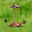 Perky-Pet Hummingbird 12 oz Copper Glass Nectar Feeder 4 ports Online now