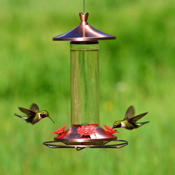 Perky-Pet Hummingbird 12 oz Copper Glass Nectar Feeder 4 ports Online now