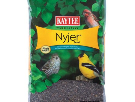 Kaytee Nyjer Songbird Niger Seed Wild Bird Food 8 lb Fashion