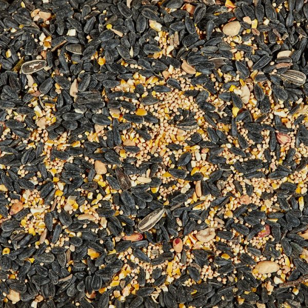 Kaytee Songbird Blend Songbird Black Oil Sunflower Seed Wild Bird Food 7 lb Online Hot Sale